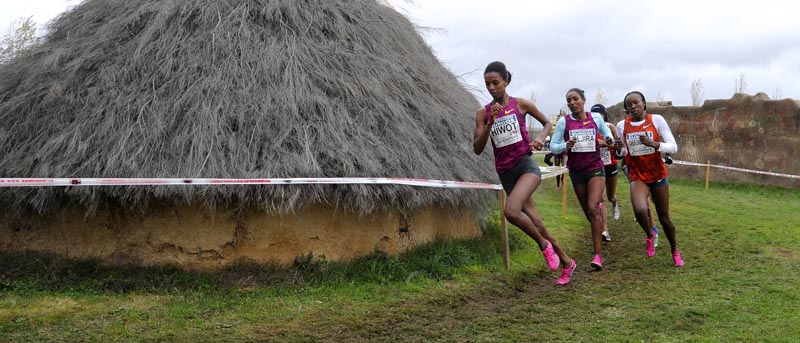 Mejor Cross de España